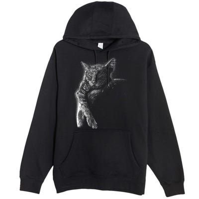 Cat Sleeping On The Moon Sketch Premium Pullover Hoodie
