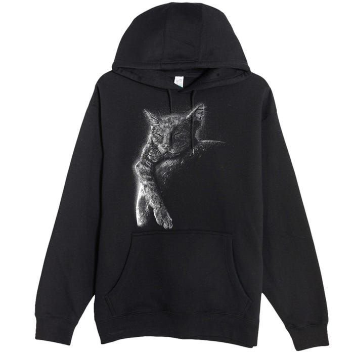 Cat Sleeping On The Moon Sketch Premium Pullover Hoodie