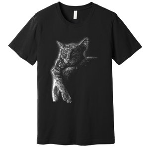 Cat Sleeping On The Moon Sketch Premium T-Shirt