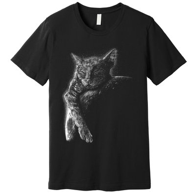 Cat Sleeping On The Moon Sketch Premium T-Shirt