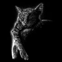 Cat Sleeping On The Moon Sketch Premium T-Shirt