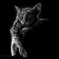Cat Sleeping On The Moon Sketch Tie Dye Hoodie