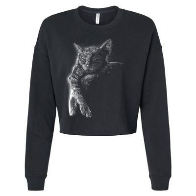 Cat Sleeping On The Moon Sketch Cropped Pullover Crew