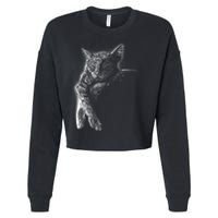 Cat Sleeping On The Moon Sketch Cropped Pullover Crew