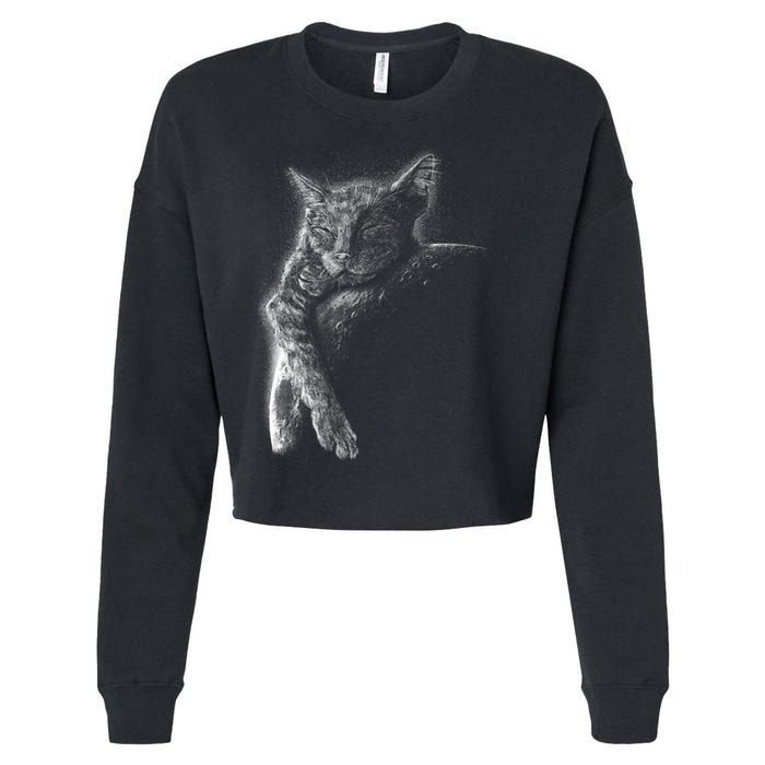 Cat Sleeping On The Moon Sketch Cropped Pullover Crew