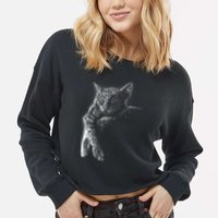 Cat Sleeping On The Moon Sketch Cropped Pullover Crew