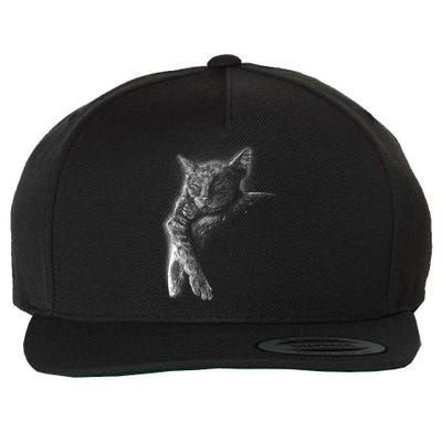 Cat Sleeping On The Moon Sketch Wool Snapback Cap
