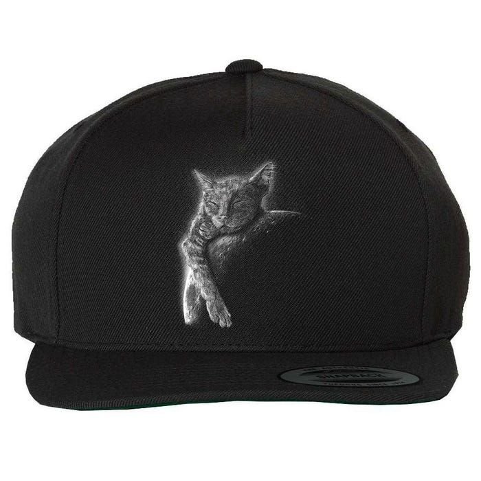 Cat Sleeping On The Moon Sketch Wool Snapback Cap