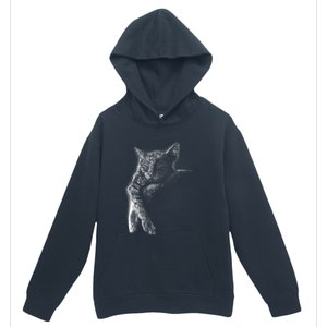 Cat Sleeping On The Moon Sketch Urban Pullover Hoodie