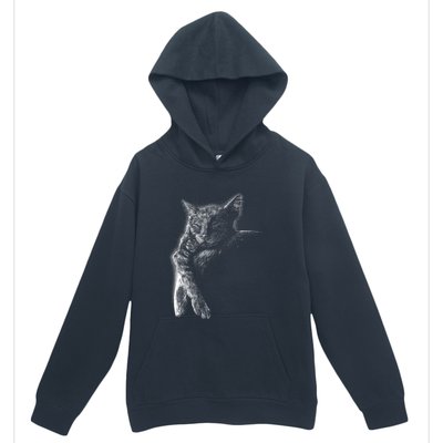 Cat Sleeping On The Moon Sketch Urban Pullover Hoodie