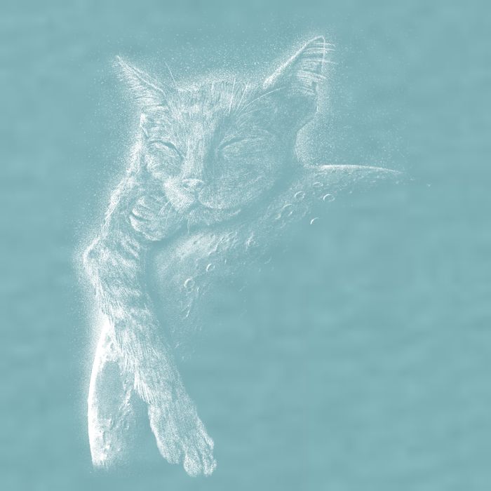 Cat Sleeping On The Moon Sketch Sueded Cloud Jersey T-Shirt