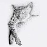 Cat Sleeping On The Moon Sketch Garment-Dyed Sweatshirt