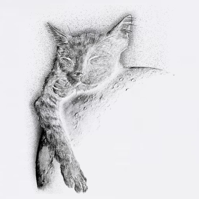 Cat Sleeping On The Moon Sketch Garment-Dyed Sweatshirt