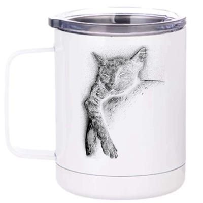 Cat Sleeping On The Moon Sketch 12 oz Stainless Steel Tumbler Cup