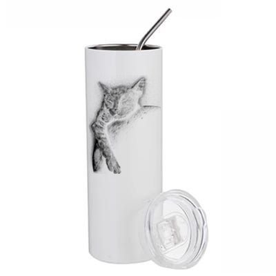 Cat Sleeping On The Moon Sketch Stainless Steel Tumbler