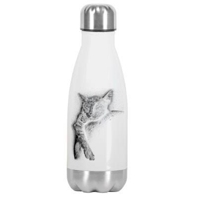 Cat Sleeping On The Moon Sketch Stainless Steel Insulated Water Bottle