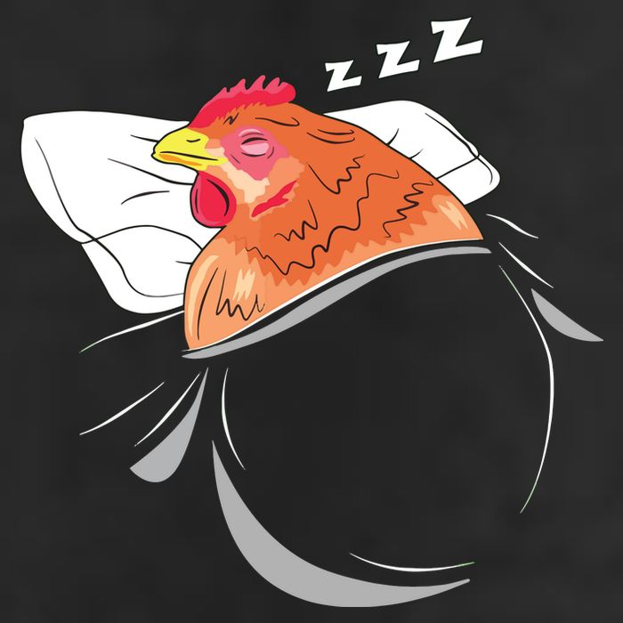 Chicken Sleeping Pajamas Nap PJs Outfit Farmer Gift Chicken Adult Drive Performance Visor