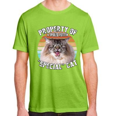 Cat Special Property Vintage Eighties Style Cat Retro Gift Cute Dog Adult ChromaSoft Performance T-Shirt