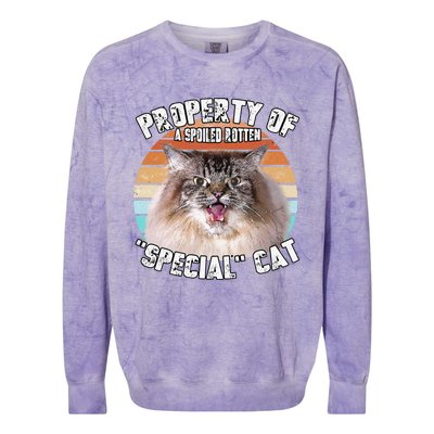 Cat Special Property Vintage Eighties Style Cat Retro Gift Cute Dog Colorblast Crewneck Sweatshirt