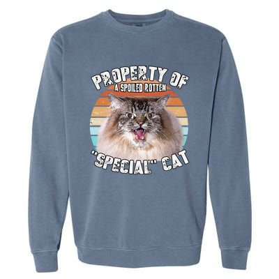 Cat Special Property Vintage Eighties Style Cat Retro Gift Cute Dog Garment-Dyed Sweatshirt