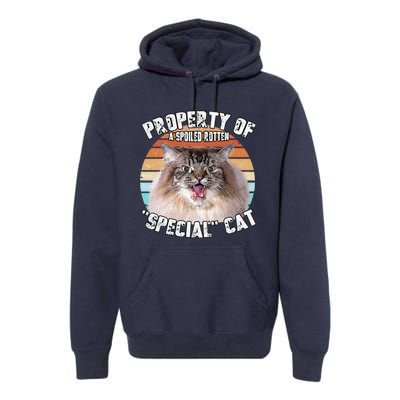 Cat Special Property Vintage Eighties Style Cat Retro Gift Cute Dog Premium Hoodie