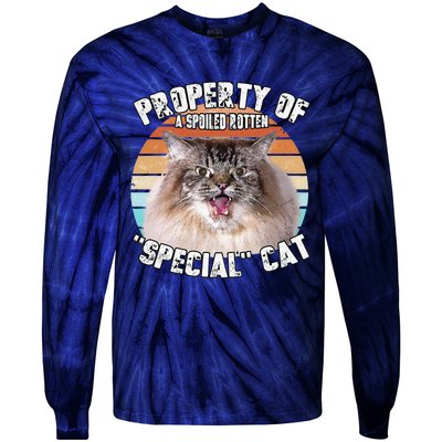 Cat Special Property Vintage Eighties Style Cat Retro Gift Cute Dog Tie-Dye Long Sleeve Shirt