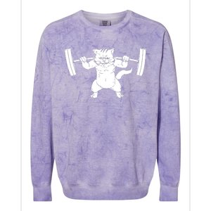 Cat Squat Powerlifting Cool Colorblast Crewneck Sweatshirt