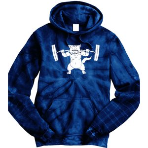 Cat Squat Powerlifting Cool Tie Dye Hoodie