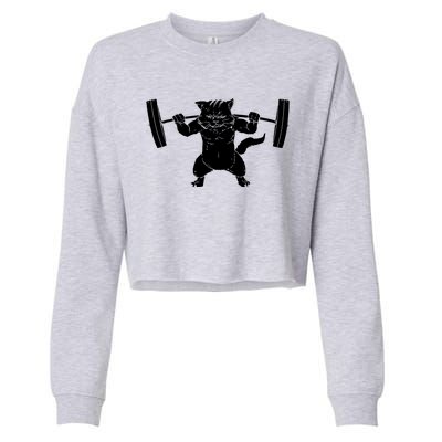 Cat Squat Powerlifting Cool Cropped Pullover Crew