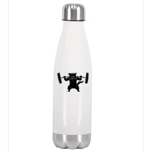 Cat Squat Powerlifting Cool Stainless Steel Insulated Water Bottle