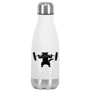 Cat Squat Powerlifting Cool Stainless Steel Insulated Water Bottle