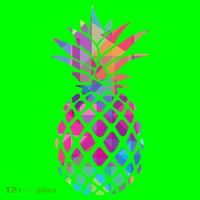 Colorful Simple Pineapple T-Shirt