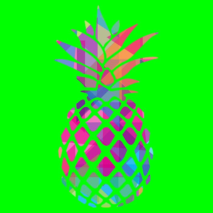Colorful Simple Pineapple T-Shirt