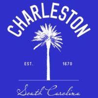Charleston Sc Park Palm Tree Fort Sumter Gift South Carolina Funny Gift 16 in Basic Backpack