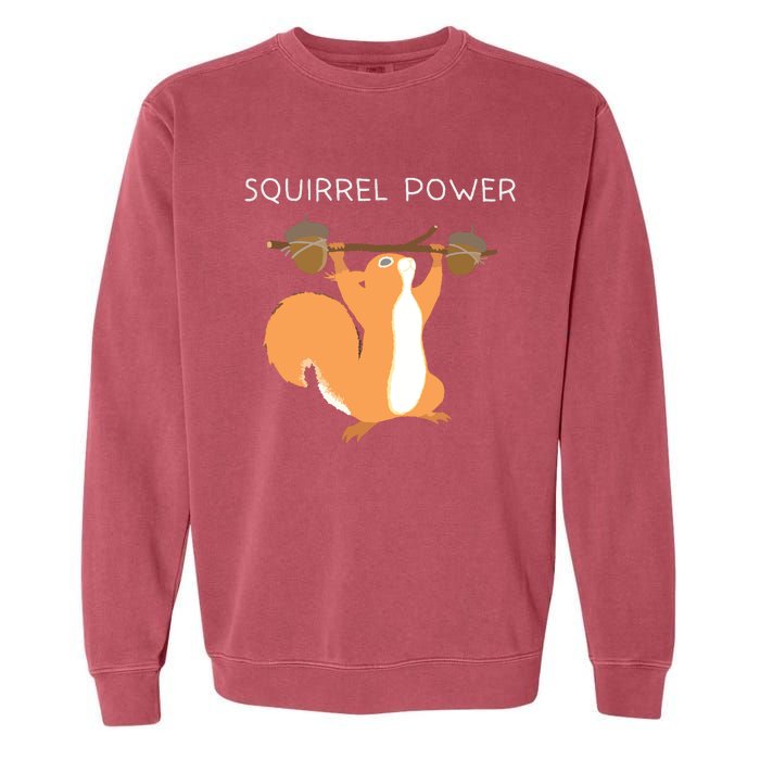 Cute Squirrel Power Garment-Dyed Sweatshirt