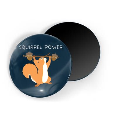 Cute Squirrel Power Magnet