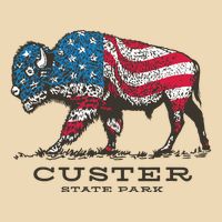 Custer State Park South Dakota Buffalo Roundup Patriotic Zip Tote Bag