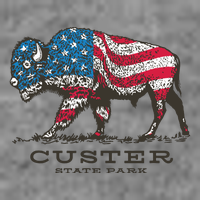 Custer State Park South Dakota Buffalo Roundup Patriotic Tall Sweatshirt