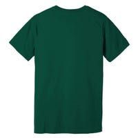 Can'T Stop Pi Won'T Stop Happy Pi Day 3.14 Math Teachers Premium T-Shirt