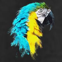 Colourful Scarlet Red Macaw Parrot Bird Painting Of Watercolour 7 Panel Mesh Trucker Snapback Hat