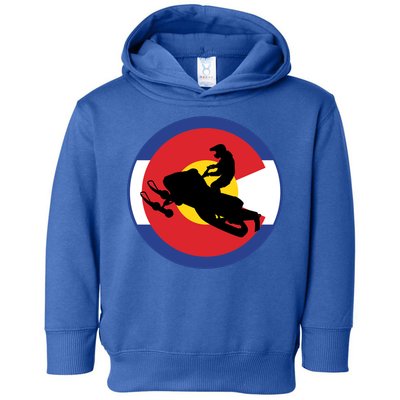 Colorado Snowmobile Rider Snowmobiling In Colorado Gift Toddler Hoodie