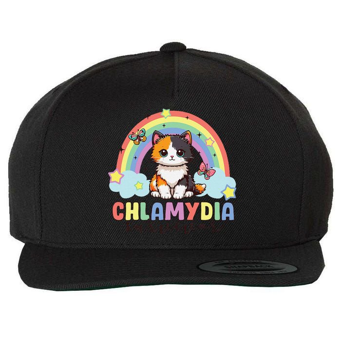 Chlamydia Survivor Rainbow Funny Humor Cat Specific Meme Wool Snapback Cap
