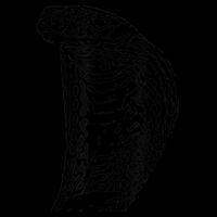 Cobra Snake Reptile Motif Snakes Design Animal Reptiles 7-Panel Snapback Hat