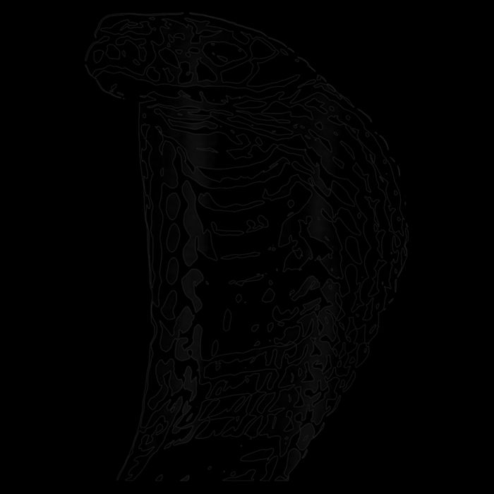 Cobra Snake Reptile Motif Snakes Design Animal Reptiles 7-Panel Snapback Hat