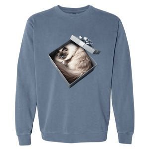 Cat Series. Ragdoll Garment-Dyed Sweatshirt