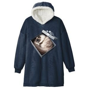 Cat Series. Ragdoll Hooded Wearable Blanket