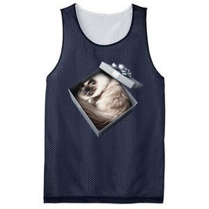 Cat Series. Ragdoll Mesh Reversible Basketball Jersey Tank