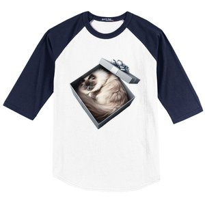 Cat Series. Ragdoll Baseball Sleeve Shirt