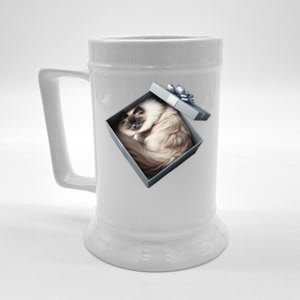 Cat Series. Ragdoll Beer Stein