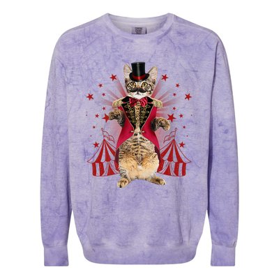 Circus S Ringmaster Cat Ringmaster Costume Colorblast Crewneck Sweatshirt